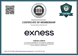 Understanding the Exness Login Area for Seamless Trading 15