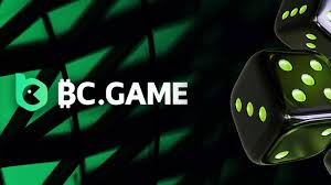 Exploring BC.Game The Ultimate Online Gaming Experience in India